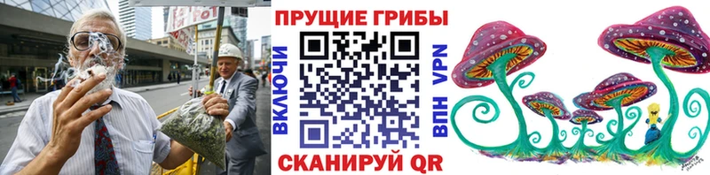 где купить   Томмот  Галлюциногенные грибы MAGIC MUSHROOMS 