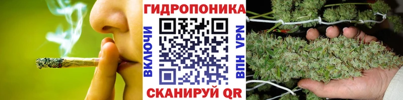 Бошки Шишки THC 21%  Томмот 